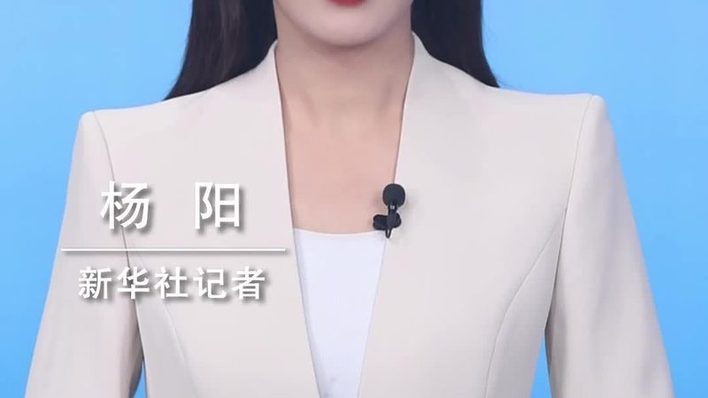 数据湖数据治理功能模块：构建高效数据管理平台的关键